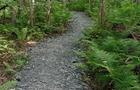 Sentier © Bateleur