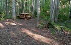 Site du Sous-Bois © Bateleur