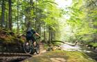 Vallée Bras-du-Nord - Vélo de Montagne - Le Québec à vélo&nbsp;&nbsp;&nbsp;&copy; Michel Lévesque