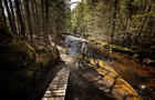 Vallée Bras-du-Nord - Vélo de Montagne - Le Québec à vélo&nbsp;&nbsp;&nbsp;&copy; Philippe Jobin