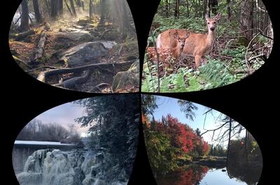 Parc historique de La Poudrière de Windsor / Randonnée pédestre, réseau