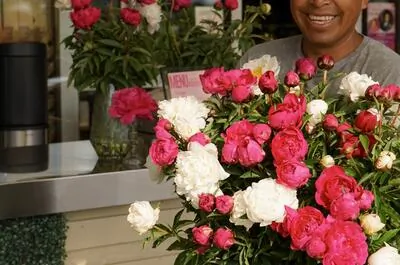 Bloom – Ferme florale