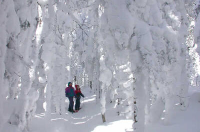 Parc national du Mont-Mégantic / Ski de fond et raquette