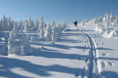 Parc national de la Gaspésie