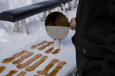 Érablière Réal Bruneau