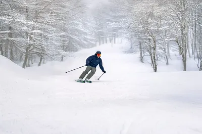 Mont Rigaud – Ski alpin et planche à neige