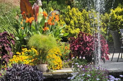 Jardin Daniel A. Séguin