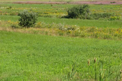 Réserve nationale de faune de la Baie-de-L&rsquo;Isle-Verte