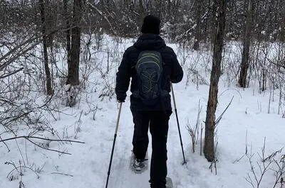 Bois Papineau