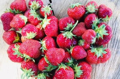 La Fruiterie champêtre