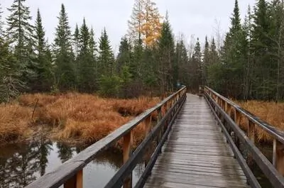Les Marais du Nord