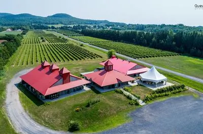 Domaine De Lavoie – vignoble