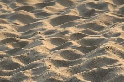 Plage municipale de Lac-Simon