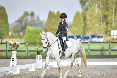 Caballista – Championnat d&rsquo;équitation classique du Québec