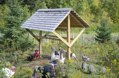 Les Volières de Baie-Saint-Paul