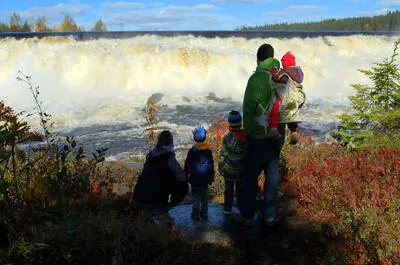 Parc de la Taïga