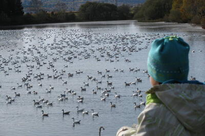 Arboretum de la Presqu’Île Croft