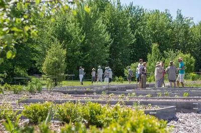 Jardins Herbes Orford