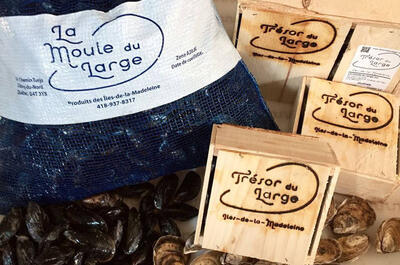 Les Cultures du Large