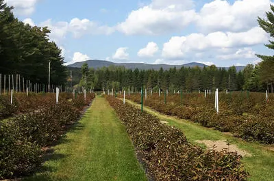 Aux Champs Mère-Terre