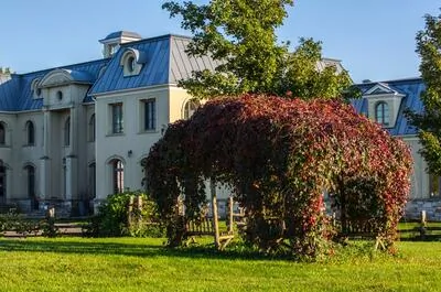 La Belle Alliance, vignoble