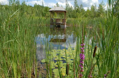 Marais Réal-D.-Carbonneau
