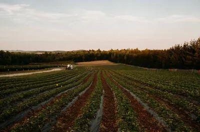 Ferme St-Élie