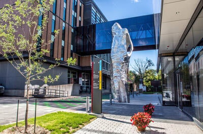 Université Concordia