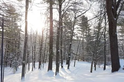 BOISÉ RIVIÈRE
