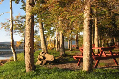 CAMPING GASPÉ
