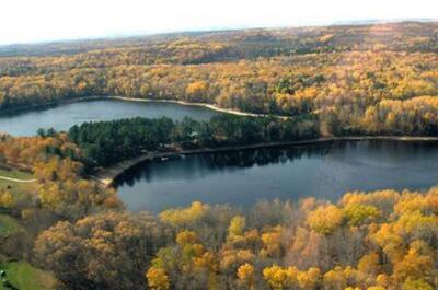 DOMAINE PINE GROVE