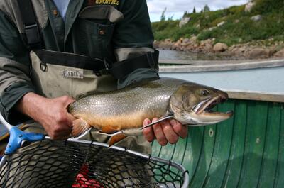 AVENTURES ARTIQUES-CAMP DE PÊCHE TUNULIK 11