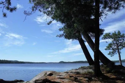 CORPORATION DU PARC RÉGIONAL DU LAC 31-MILLES