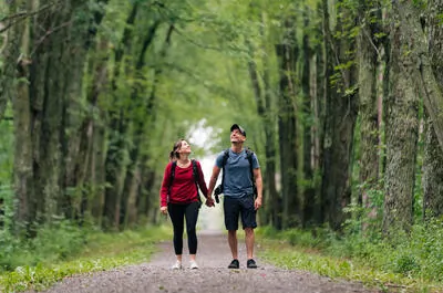 Parc régional de la Forêt-Drummond