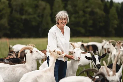 Ferme Cassis et Mélisse – Économusée de la fromagerie fermière : lait de chèvre