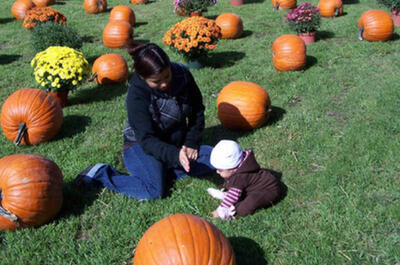 Plantations Stéphan Perreault