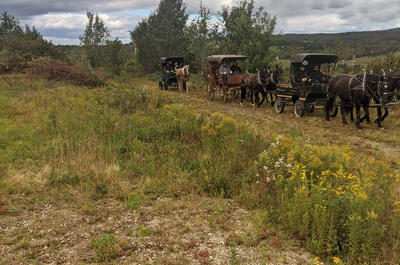 Sentiers équestres aux mille collines