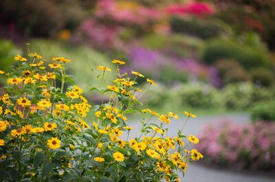 Parc botanique À Fleur d&rsquo;eau et jardin géologique