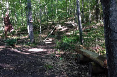 Parc des chutes de Denholm