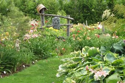Hémérocalles Charlevoix – Jardin Jean Tremblay