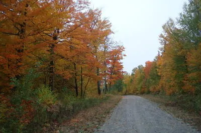 ZEC Kipawa