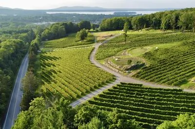 Vignoble Sugar Hill