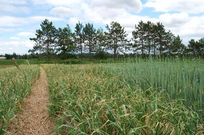 Les Jardins Russell