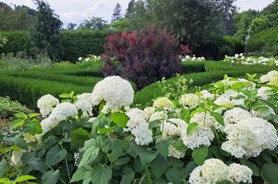 Les jardins des 5 sens