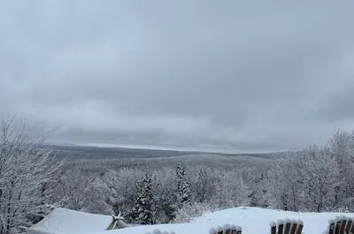 DOMAINE DE LA FORÊT ENCHANTÉE
