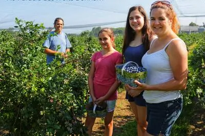 Au Paradis des Fruits Dunham / Vergers