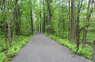 La Cantonnière – sentier de la Rive / Vélo