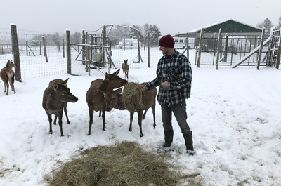 Ferme Boucherie Le Sabot d’Or