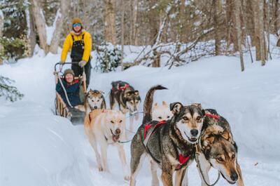 Expédition Hautes Laurentides