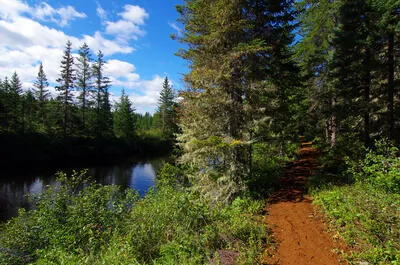 Sentier de la Haute du Gouffre / Vélo de montagne